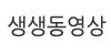 생생동영상